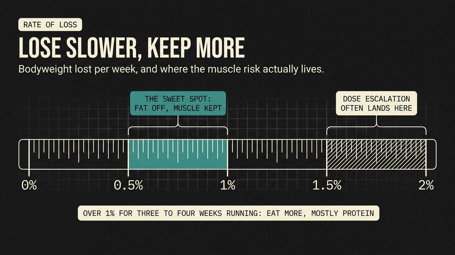 Scale of weekly bodyweight loss: 0.5 to 1% is the sweet spot where fat comes off and muscle is kept, while dose escalation often lands in the 1.5 to 2% zone